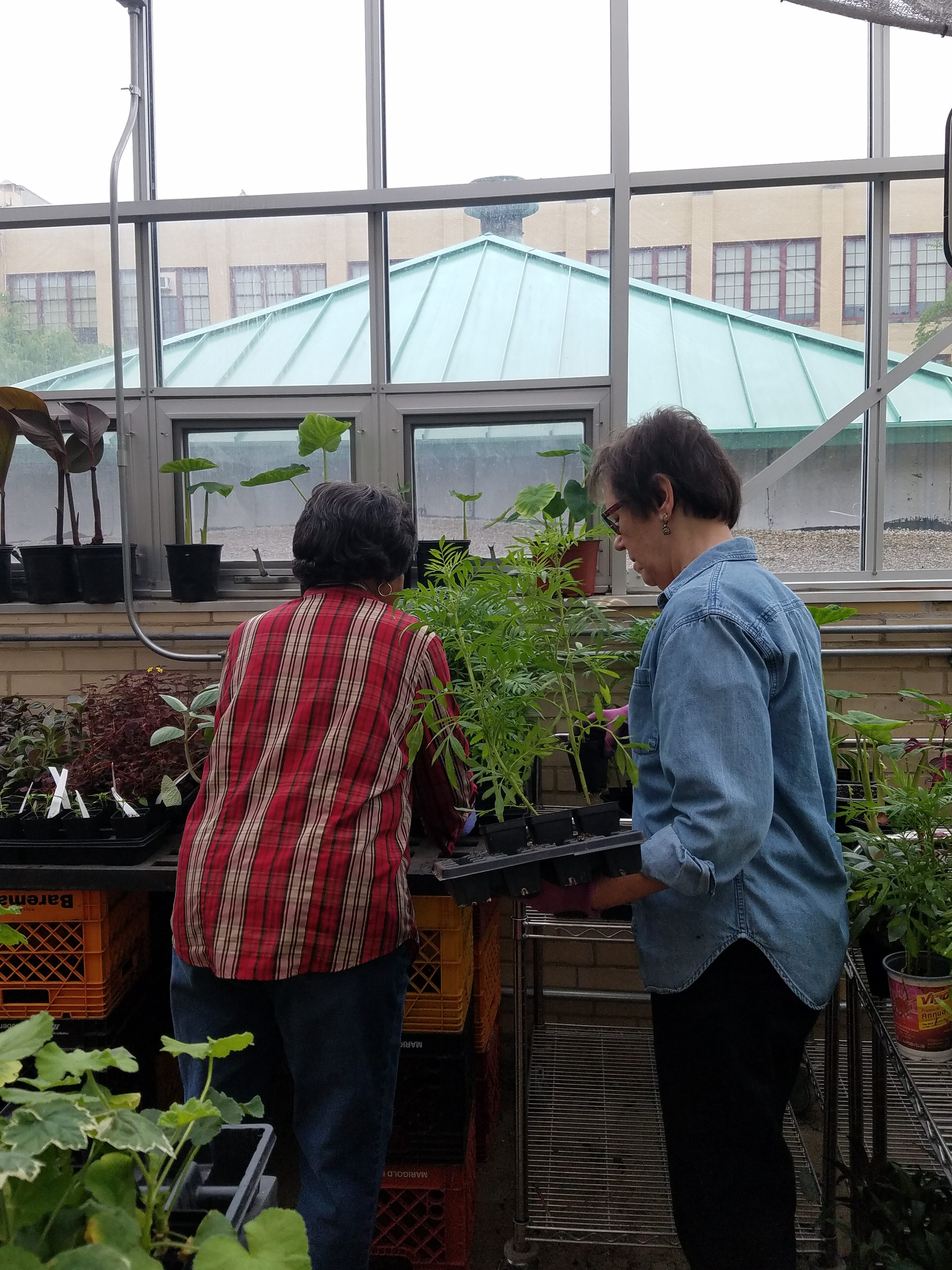 Julene and Cynthis Weaver Green House May 2017
